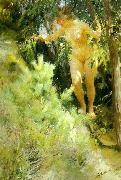 Anders Zorn, naken under en gran